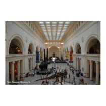 Field Museum Poster posters by Lexxicon Field Museum Poster posters