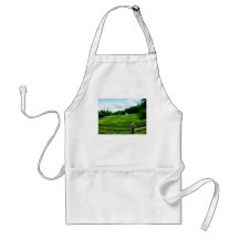 Field Near Weathered Barn Aprons