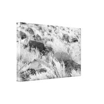 Field of Basalt canvas prints