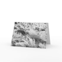 Field of Basalt cards