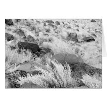 Field of Basalt Cards