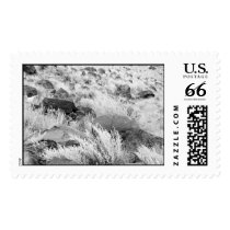 Field of Basalt – Large stamp stamps