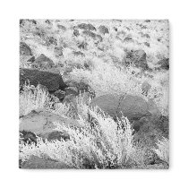 Field of Basalt magnets