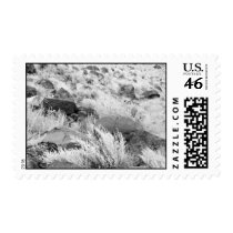 Field of Basalt – Medium stamp stamps