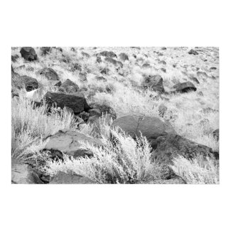 Field of Basalt print