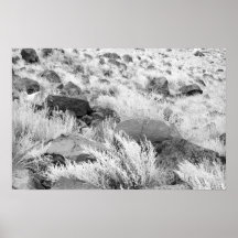 Field of Basalt Poster