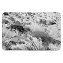 Field of Basalt magnets