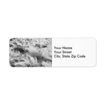 Field of Basalt return address label labels