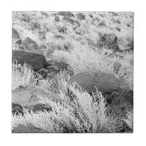 Field of Basalt tiles