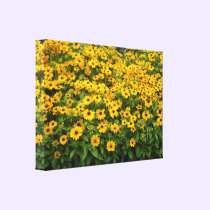 Field of Black Eyed Susans canvas prints