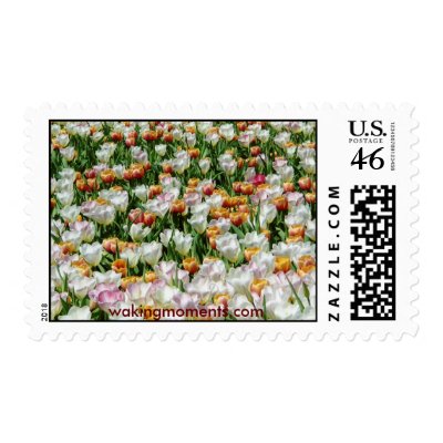 Field of blooming tulips postage by wolfsongdesign