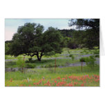 Field of Bluebonnets and Indian paintbrush Greeting Card Field of Bluebonnets and Indian paintbrush Greeting Card