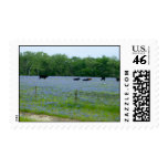 Field of Bluebonnets Stamps