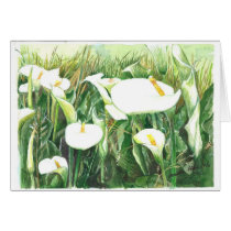 Field of Calle Lilies Cards