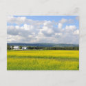Field of Canola at Historic Alaska Farm postcard