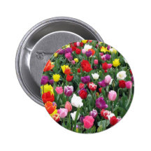 Field of Colorful Tulips Button