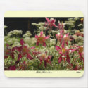 Field of Columbines mousepads