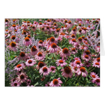 Field of Cone Flowers cards by MamaRugRat Field of Cone Flowers cards