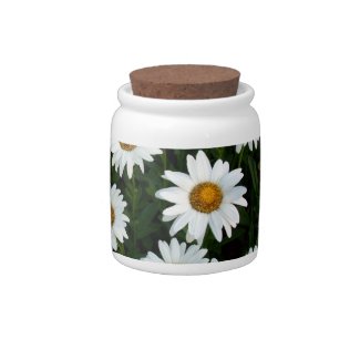 Field of Daisies Candy Jar