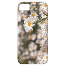Field of Daisies iPhone 5 Case casemate cases
