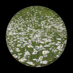 Field of Daisies Magnet