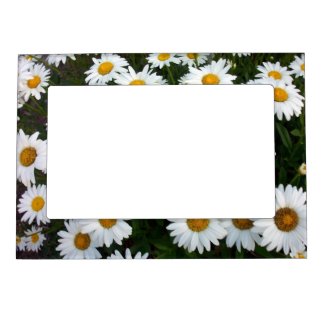 Field of Daisies Magnetic Frame
