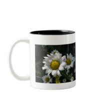 Field of Daisies Mug