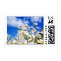 Field Of Daisies postage by kokobaby Field Of Daisies postage