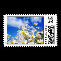 Field Of Daisies postage by kokobaby Field Of Daisies postage