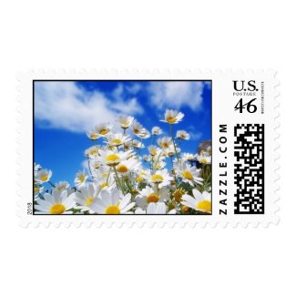 Field Of Daisies stamp