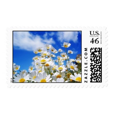 Field Of Daisies Stamps
