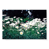 Field of Daisies posters by PhotoWickham Field of Daisies posters