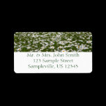 Field of Daisies Return Address Label