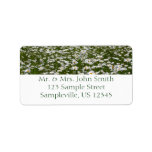 Field of Daisies Return Address Label