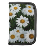 Field of Daisies Rickshaw mini Organizers