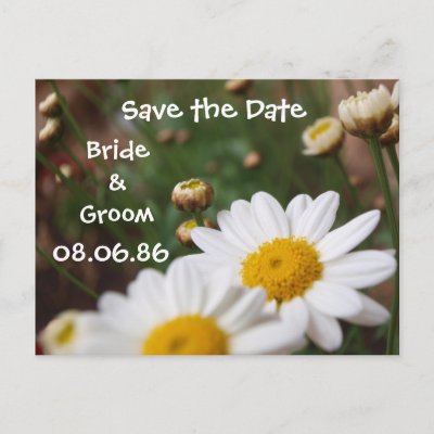 Field of Daisies Save the Date Postcards