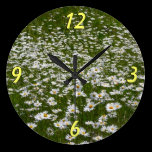 Field of Daisies Wall Clock