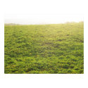 Field of Dandelions on a Bright Day posters by wandringmind Field of Dandelions on a Bright Day posters