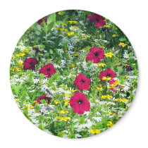Field of Dreams Magnet