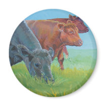 Field of dreams magnet