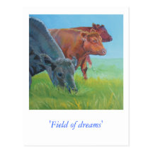 Field of dreams post card
