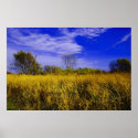 Field Of Dreams posters