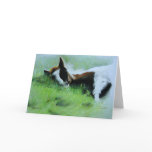 "Field of Dreams" Sleeping Foal Greeting Card