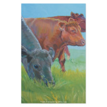 Field of dreams stationery