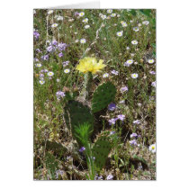 Field of Flowers cards