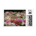 Field of Flowers postage