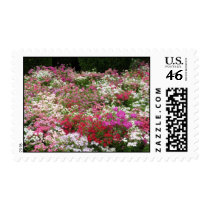 Field of Flowers postage by ggbythebay Field of Flowers postage