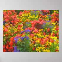 Field of Flowers Poster posters