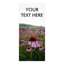 Field of flowers | rack card rack cards by cherrybun Field of flowers | rack card rack cards