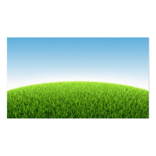 Field Of Fresh Green Grass Business Card Templates (back side)